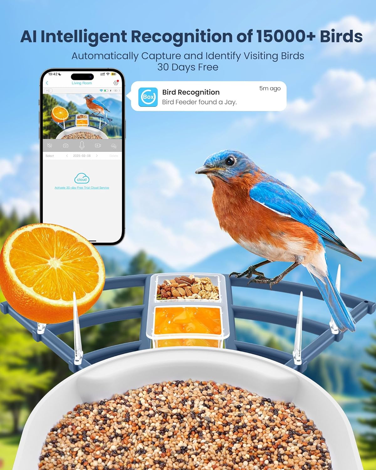 Smart Bird Feeder with Camera, - Solar Powered Watch recensione e prezzo